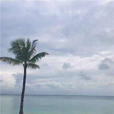 西山居锦绣江湖手游下载